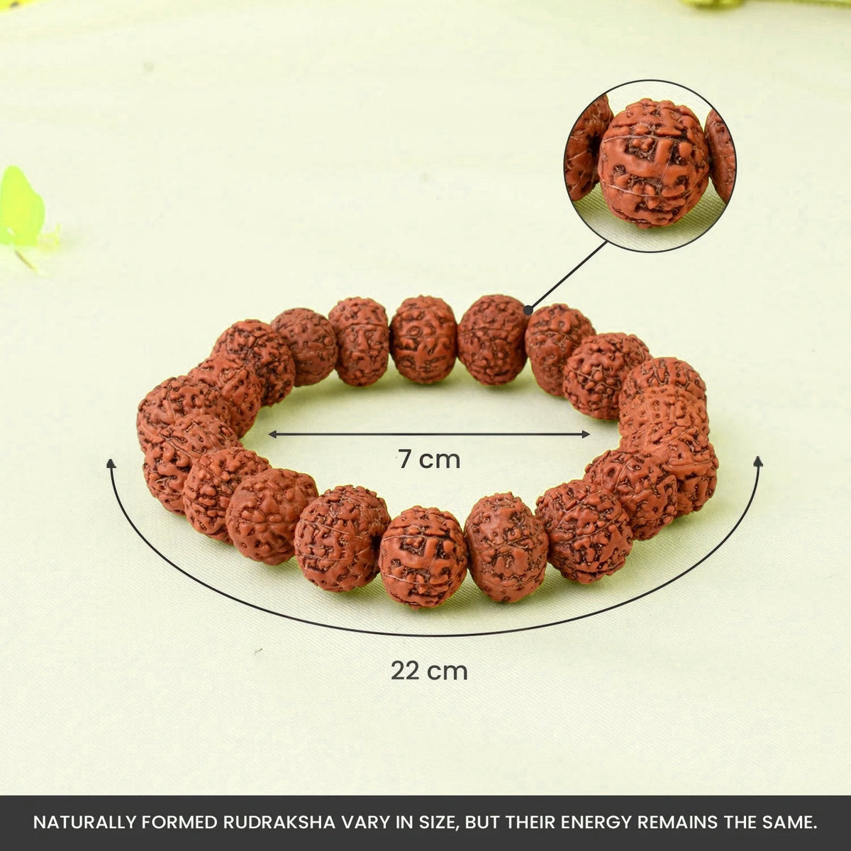 VASTUKOSHA 7 Mukhi Rudraksha bracelet from Nepal with natural brown beads, showing 7cm diameter and 22cm circumference.