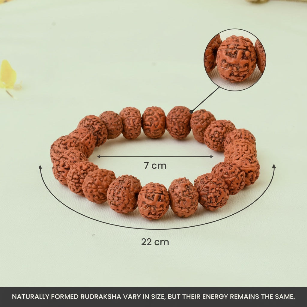 VASTUKOSHA 7 Mukhi Rudraksha bracelet featuring natural brown Nepal-origin beads with detailed surface texture.