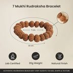 VASTUKOSHA 7 Mukhi Rudraksha bracelet with natural brown beads, showing dimensions and lab-certified quality details.