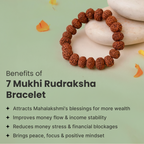 VASTUKOSHA 7 Mukhi Rudraksha bead bracelet resting on smooth stones, featuring natural brown textured seeds.