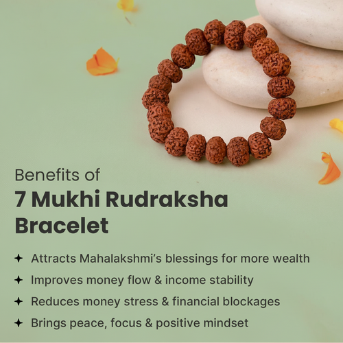 VASTUKOSHA 7 Mukhi Rudraksha bead bracelet resting on smooth stones, featuring natural brown textured seeds.