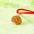 VASTUKOSHA 7 Mukhi Nepal origin Rudraksha bead pendant on a red thread, featuring natural texture and silver caps.