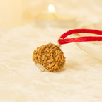 VASTUKOSHA 8 Mukhi Nepal origin Rudraksha bead on a red cord, featuring natural texture for spiritual practice.