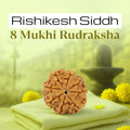 VASTUKOSHA 8 Mukhi Nepal origin Rudraksha bead on a green cloth, symbolizing wisdom and Lord Ganesha devotion.