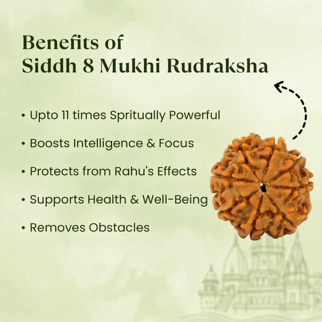 VASTUKOSHA 8 Mukhi Nepal Rudraksha bead with natural brown texture and eight faces for spiritual meditation practice
