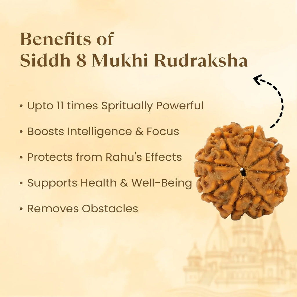 VASTUKOSHA 8 Mukhi Rudraksha bead from Nepal with natural textured surface for spiritual meditation and prayer