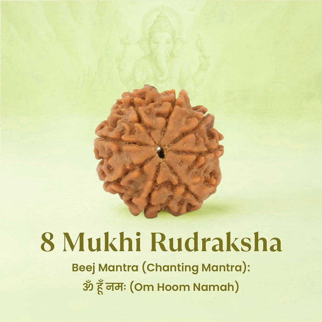 VASTUKOSHA 8 Mukhi Nepal origin Rudraksha bead with natural brown texture and deep ridges, featuring Lord Ganesha imagery.