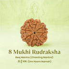 VASTUKOSHA 8 Mukhi Nepal origin Rudraksha bead with natural brown texture and deep ridges, featuring Lord Ganesha imagery.