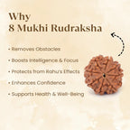 VASTUKOSHA 8 Mukhi Rudraksha bead from Nepal with eight natural faces, displayed with spiritual benefit text.