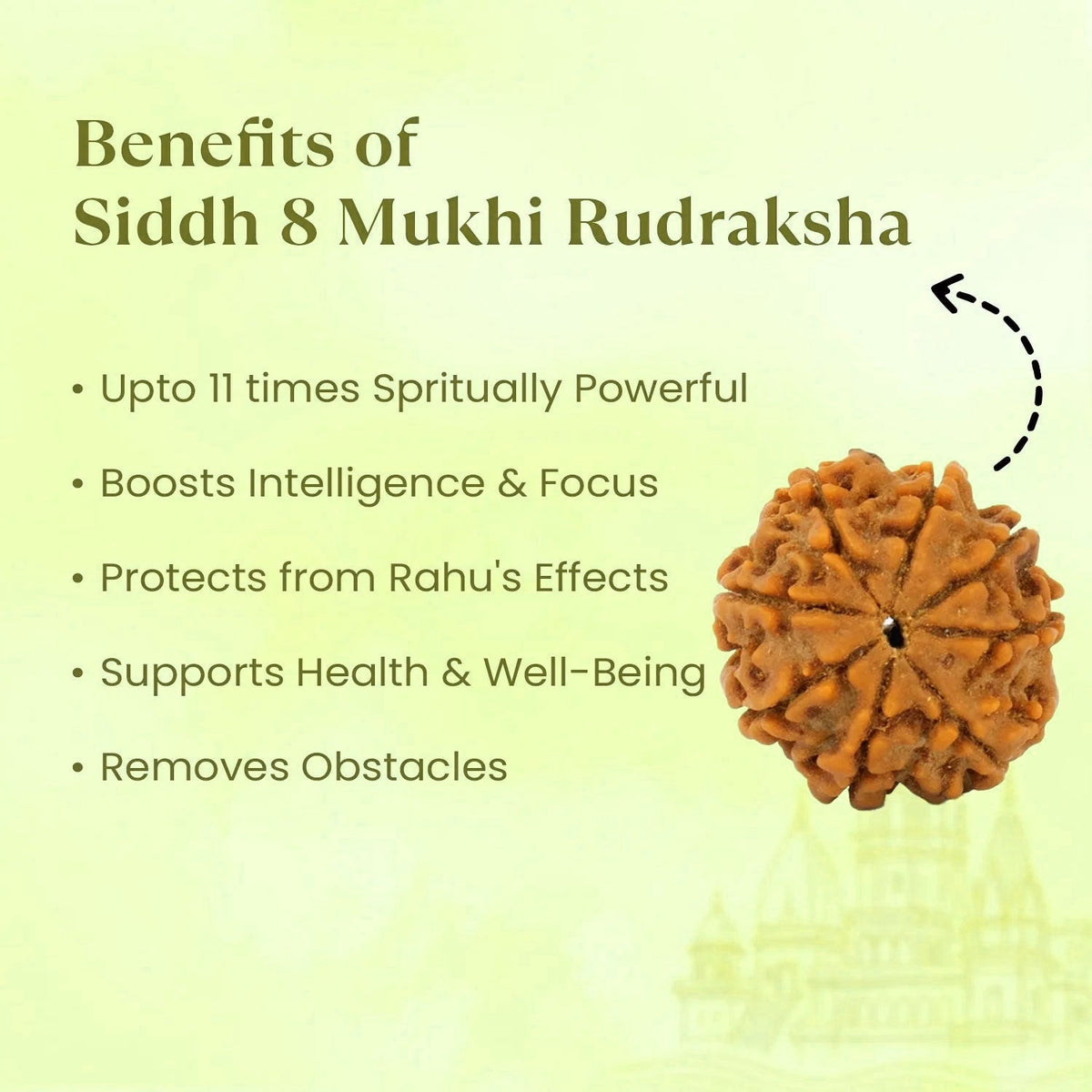VASTUKOSHA 8 Mukhi Rudraksha bead from Nepal, featuring natural brown texture and eight distinct faces for meditation.