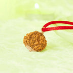 VASTUKOSHA 8 Mukhi Nepal origin Rudraksha bead pendant with a red thread, symbolizing wisdom and Lord Ganesha.