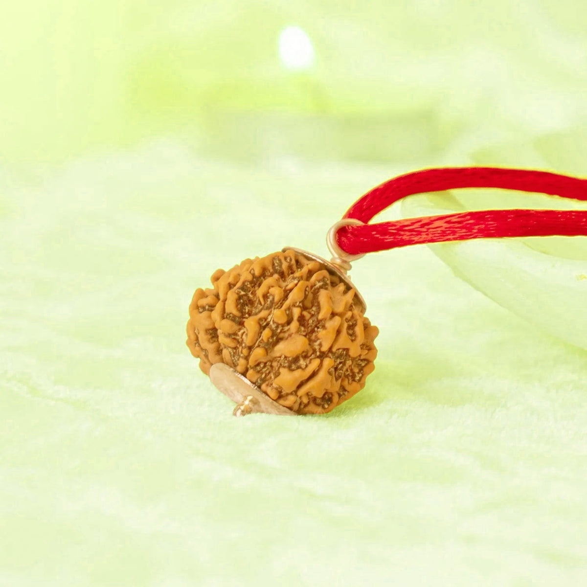 VASTUKOSHA 8 Mukhi Nepal origin Rudraksha bead pendant with a red thread, symbolizing wisdom and Lord Ganesha.