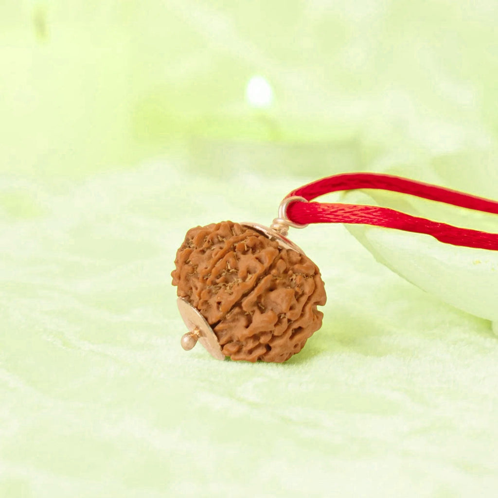 VASTUKOSHA 9 Mukhi Nepal Rudraksha bead pendant on a red thread, blessed and Siddh for spiritual protection.