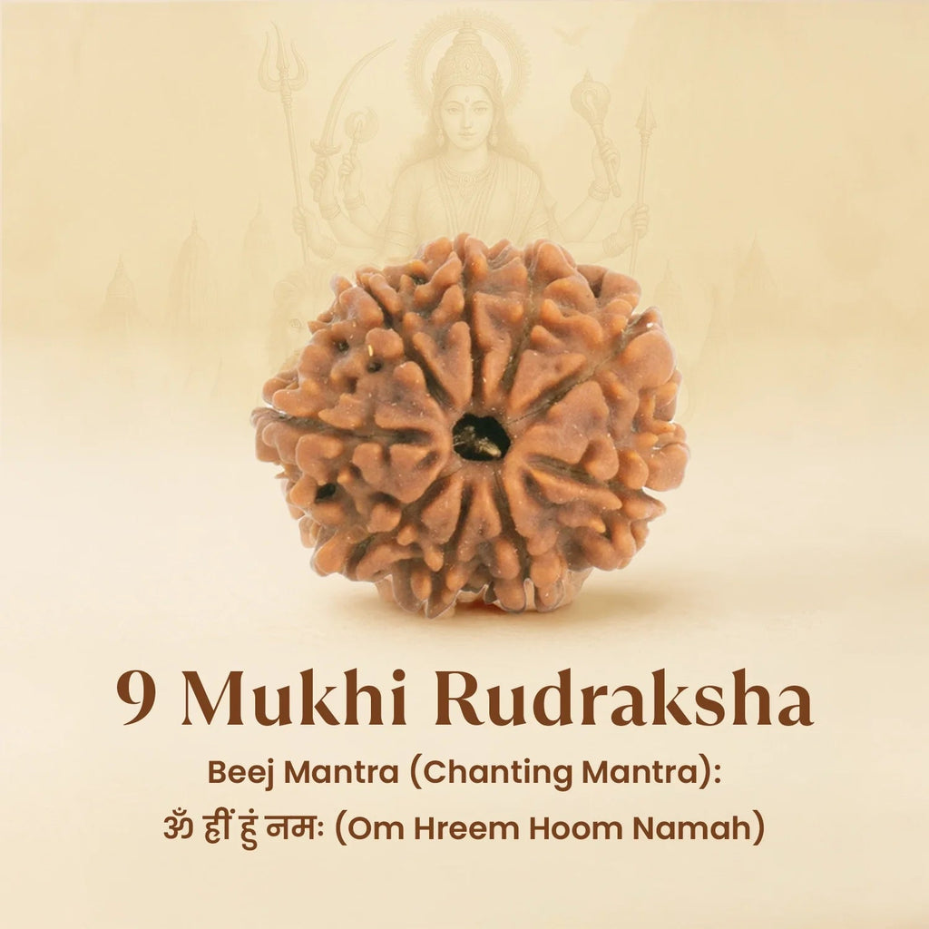 VASTUKOSHA 9 Mukhi Nepal origin Rudraksha bead with natural texture and nine faces for spiritual practice