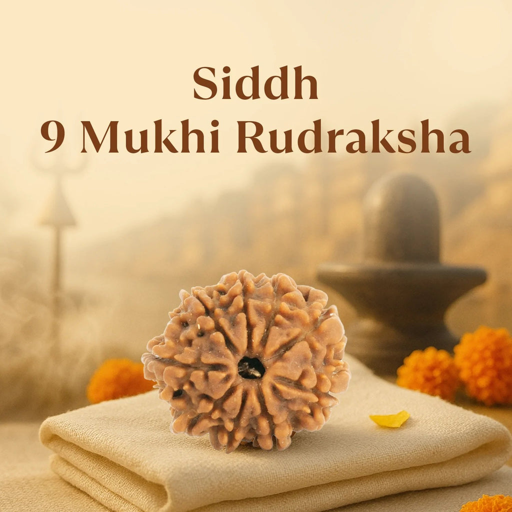 VASTUKOSHA 9 Mukhi Nepal origin Rudraksha bead with natural textured surface resting on a soft cloth for meditation
