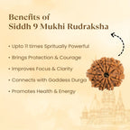 VASTUKOSHA 9 Mukhi Nepal origin Rudraksha bead with natural brown texture for meditation and spiritual protection
