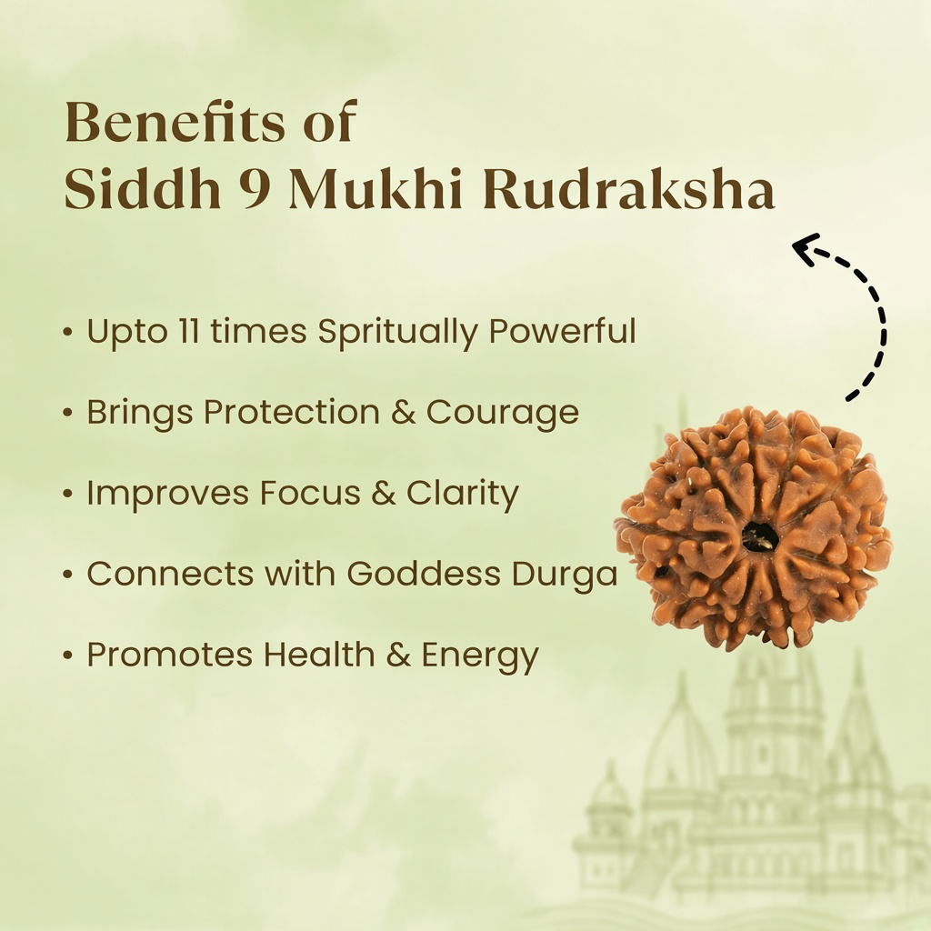 VASTUKOSHA Rameshwaram Siddh 9 Mukhi Rudraksha bead from Nepal, showing natural texture and nine distinct faces.