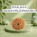 VASTUKOSHA 9 Mukhi Siddh Nepal Origin Rudraksha bead on a green marble pedestal with natural crystal accents