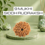 VASTUKOSHA 9 Mukhi Siddh Nepal Origin Rudraksha bead on a green marble pedestal with natural crystal accents