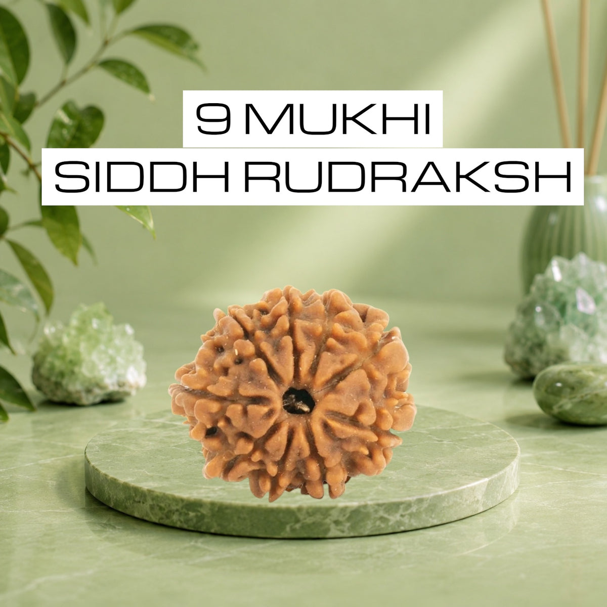 VASTUKOSHA 9 Mukhi Siddh Nepal Origin Rudraksha bead on a green marble pedestal with natural crystal accents