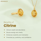 VASTUKOSHA gold ring and pendant set featuring oval-cut yellow citrine gemstones on a soft green background.
