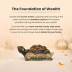 VASTUKOSHA Collector's Edition Dhan Yog Tortoise made of Tiger Eye, Pyrite, Citrine, and Green Aventurine crystals.