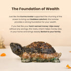 VASTUKOSHA Collector's Edition Dhan Yog Tortoise made of Tiger Eye, Pyrite, Citrine, and Green Aventurine crystals.