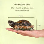 VASTUKOSHA Rinmukteshwar Siddh Dhan Yog Tortoise in hand, a large crystal Vastu statue for wealth and prosperity.