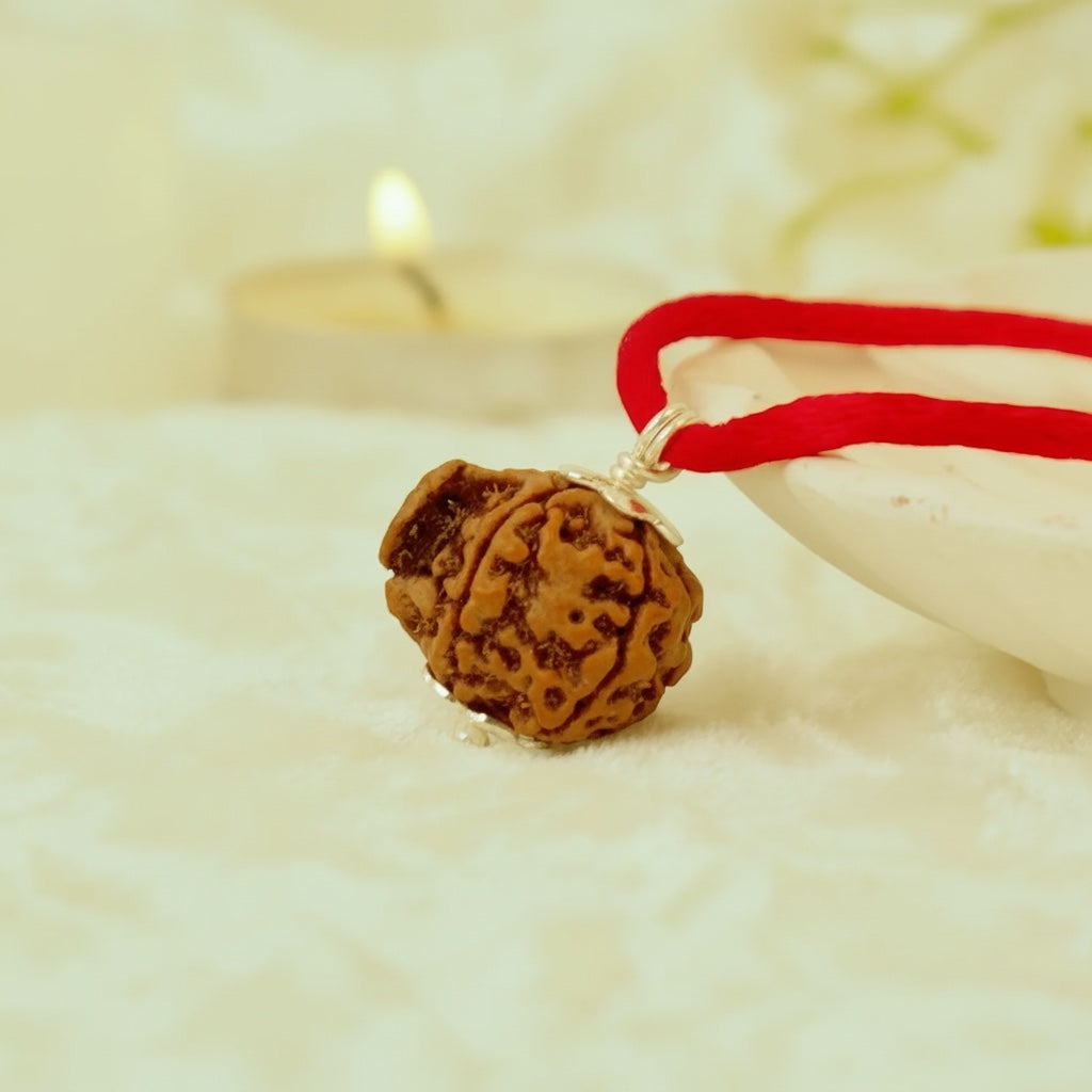 VASTUKOSHA Ganesh Mukhi Rudraksha bead with a natural trunk-like protrusion on a red thread for spiritual practice