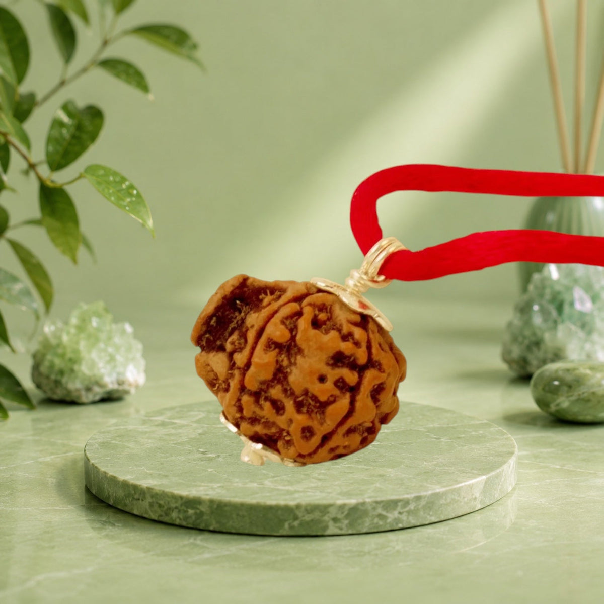 VASTUKOSHA Nepal origin Ganesh Mukhi Rudraksha bead on a red cord, featuring a natural trunk-like formation.