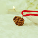 VASTUKOSHA Ganesh Mukhi Rudraksha bead pendant on a red cord, blessed and spiritually prepared for meditation.