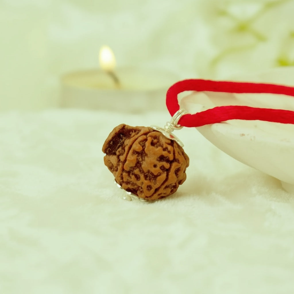 VASTUKOSHA Ganesh Mukhi Rudraksha bead pendant on a red cord, blessed and spiritually prepared for meditation.