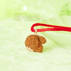 VASTUKOSHA Nepal origin Garbh Gauri Rudraksha pendant on a red thread, symbolizing divine feminine energy.