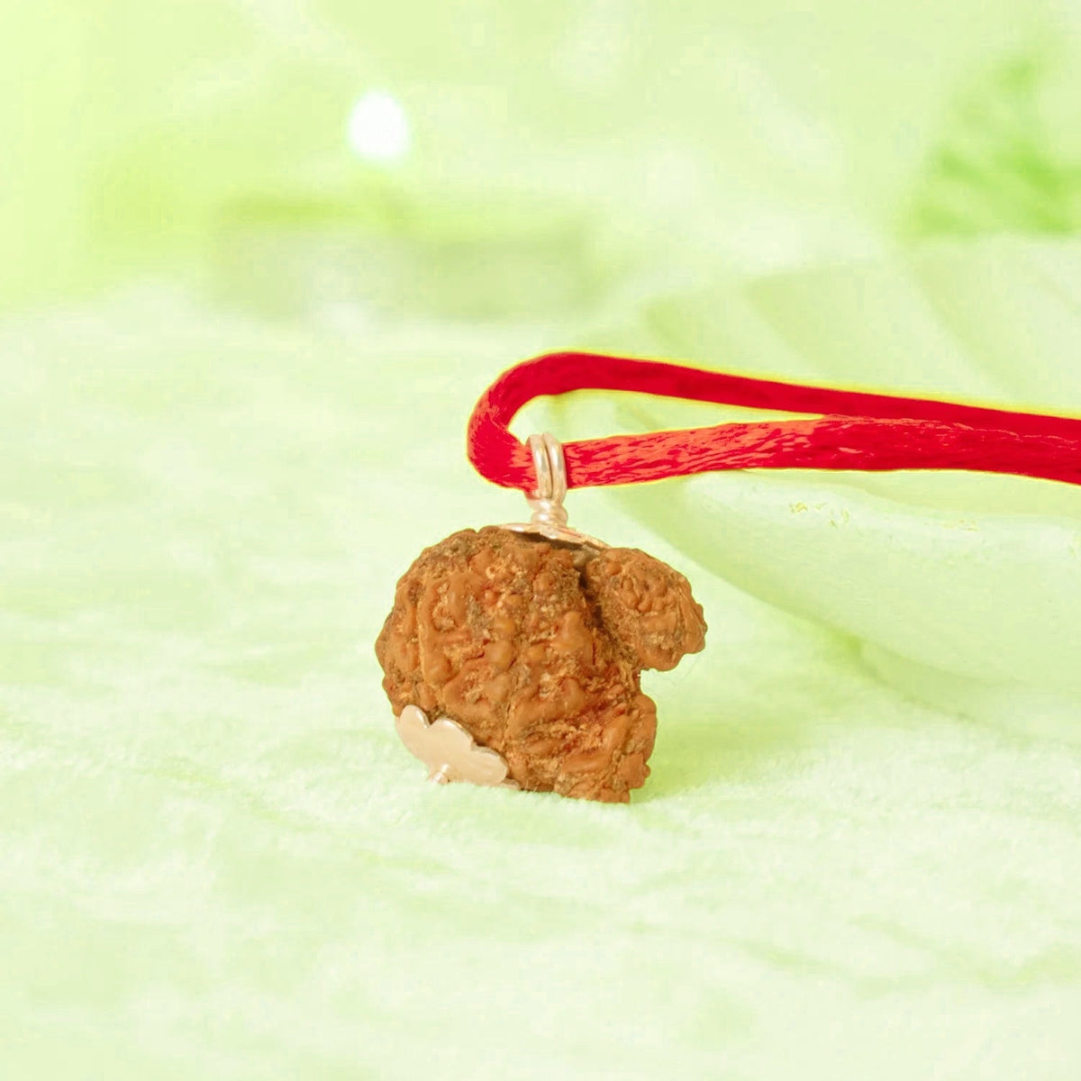 VASTUKOSHA Nepal origin Garbh Gauri Rudraksha pendant on a red thread, symbolizing divine feminine energy.