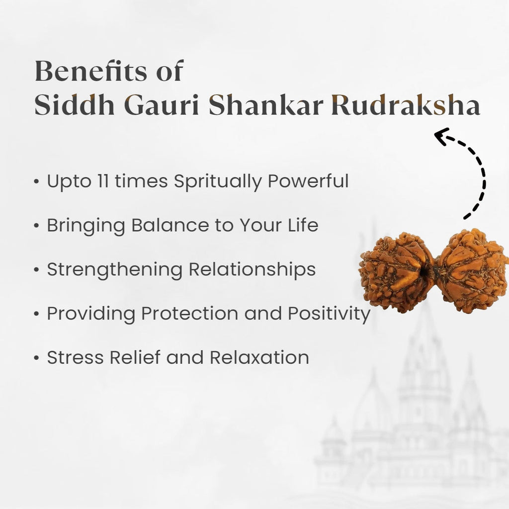VASTUKOSHA Siddh Gauri Shankar Rudraksha bead showing natural twin formation with spiritual benefits text overlay