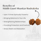 VASTUKOSHA Siddh Gauri Shankar Rudraksha bead showing natural twin formation with spiritual benefits text overlay