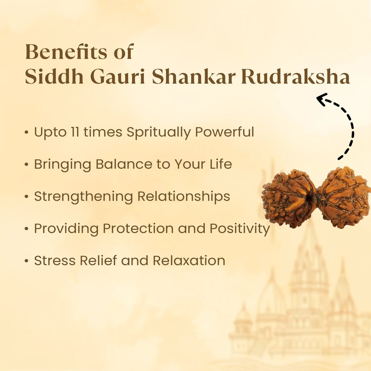 VASTUKOSHA Nepal origin Gauri Shankar Rudraksha bead featuring two naturally joined seeds for spiritual practice.