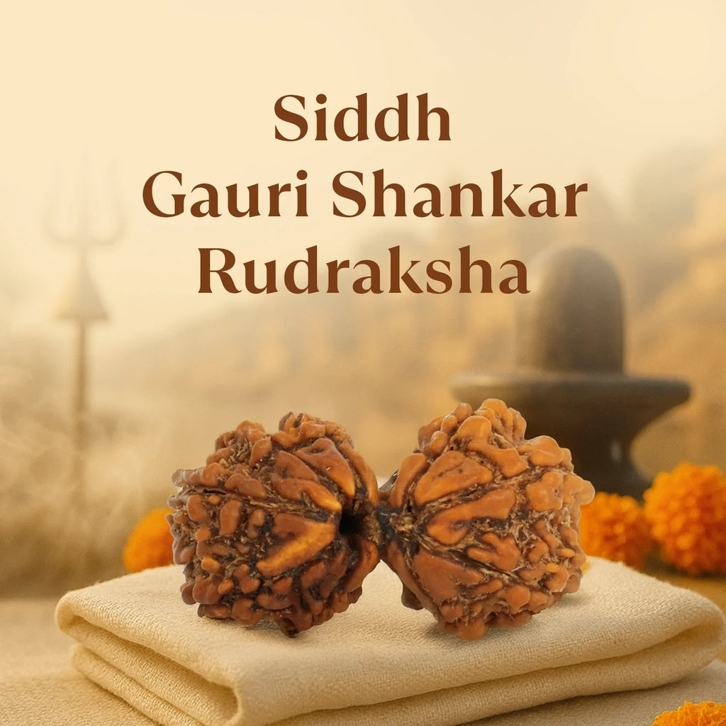 VASTUKOSHA Nepal origin Gauri Shankar Rudraksha bead with natural textured surface for spiritual meditation and prayer