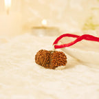 VASTUKOSHA Nepal origin Gauri Shankar Rudraksha bead on a red cord, featuring natural texture for spiritual practice.