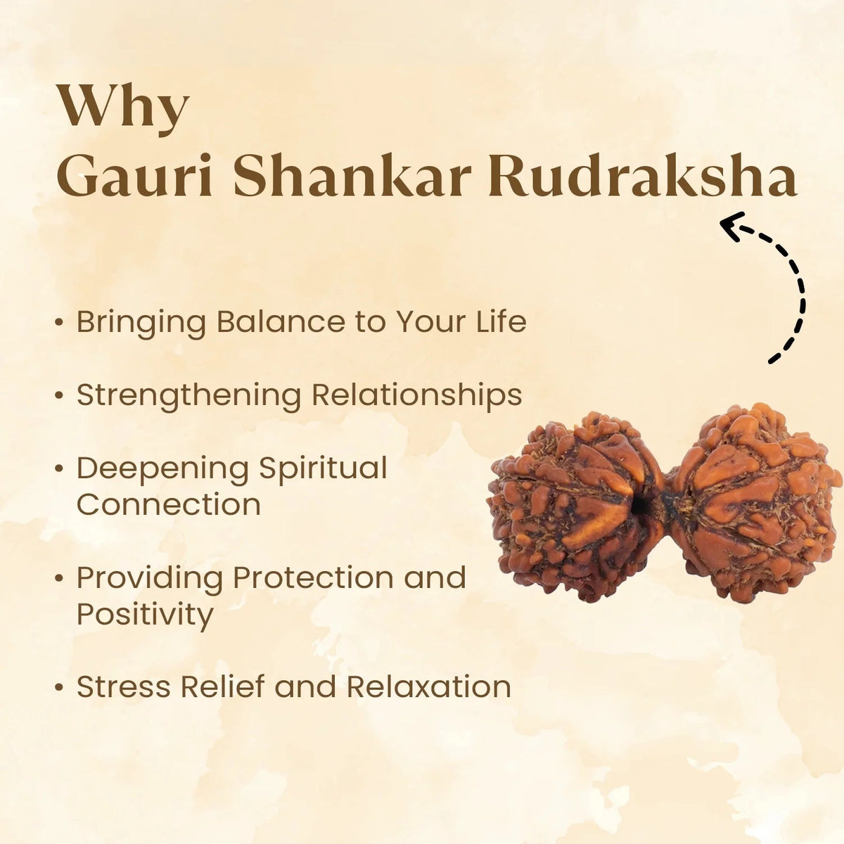 VASTUKOSHA Gauri Shankar Rudraksha bead featuring a natural twin-bead formation with textured brown surface