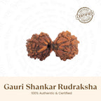 Natural brown Gauri Shankar Rudraksha bead from VASTUKOSHA featuring two joined seeds for spiritual practice.