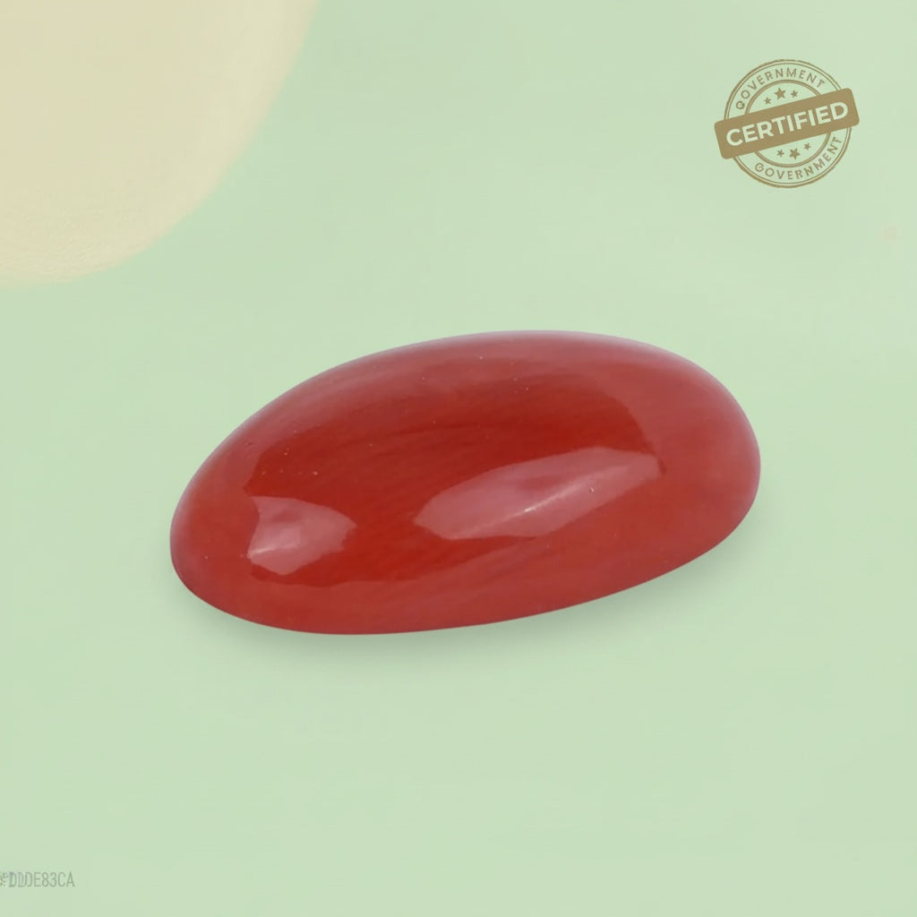 VASTUKOSHA natural Italian red coral gemstone with a smooth polished cabochon finish for Vedic Jyotish jewellery
