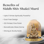 VASTUKOSHA Haridwar Siddh Shiv Shakti Murti in a protective borosilicate glass dome on a soft fabric background.
