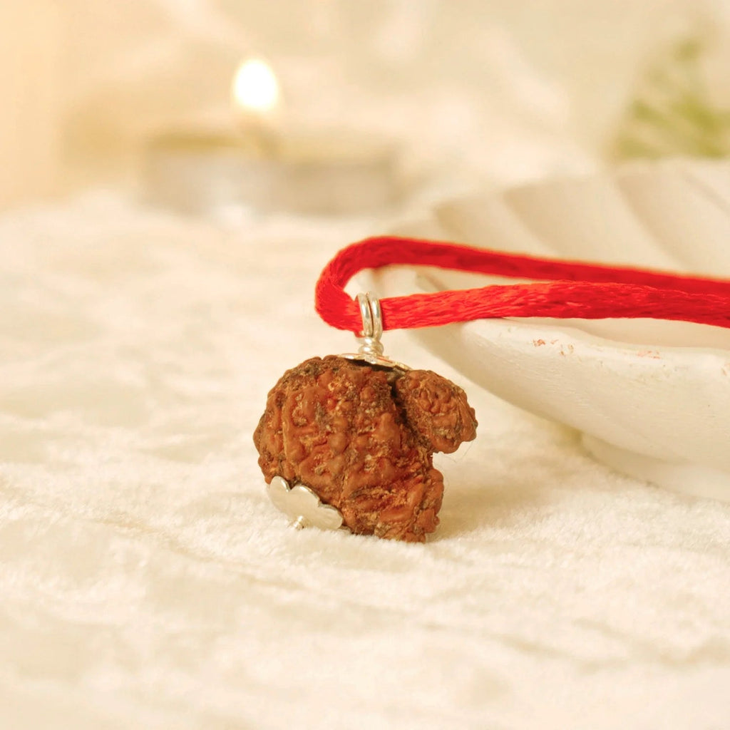 VASTUKOSHA Nepal origin Garbh Gauri Rudraksha pendant on a red thread, featuring a natural brown textured bead.