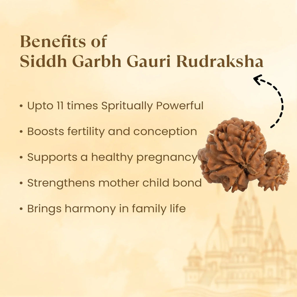 VASTUKOSHA Nepal origin Garbh Gauri Rudraksha bead featuring natural texture, used for spiritual and family harmony.