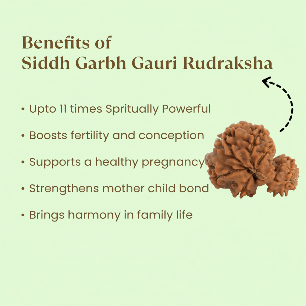 VASTUKOSHA Nepal origin Garbh Gauri Rudraksha bead with textured brown surface for spiritual and family harmony
