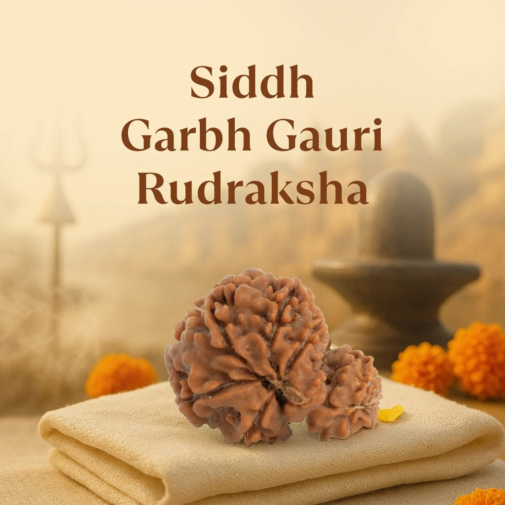 VASTUKOSHA Nepal origin Garbh Gauri Rudraksha bead with natural textured surface on a cloth for spiritual practice