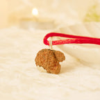 VASTUKOSHA Nepal origin Garbh Gauri Rudraksha pendant on a red thread, featuring a natural textured brown seed bead.