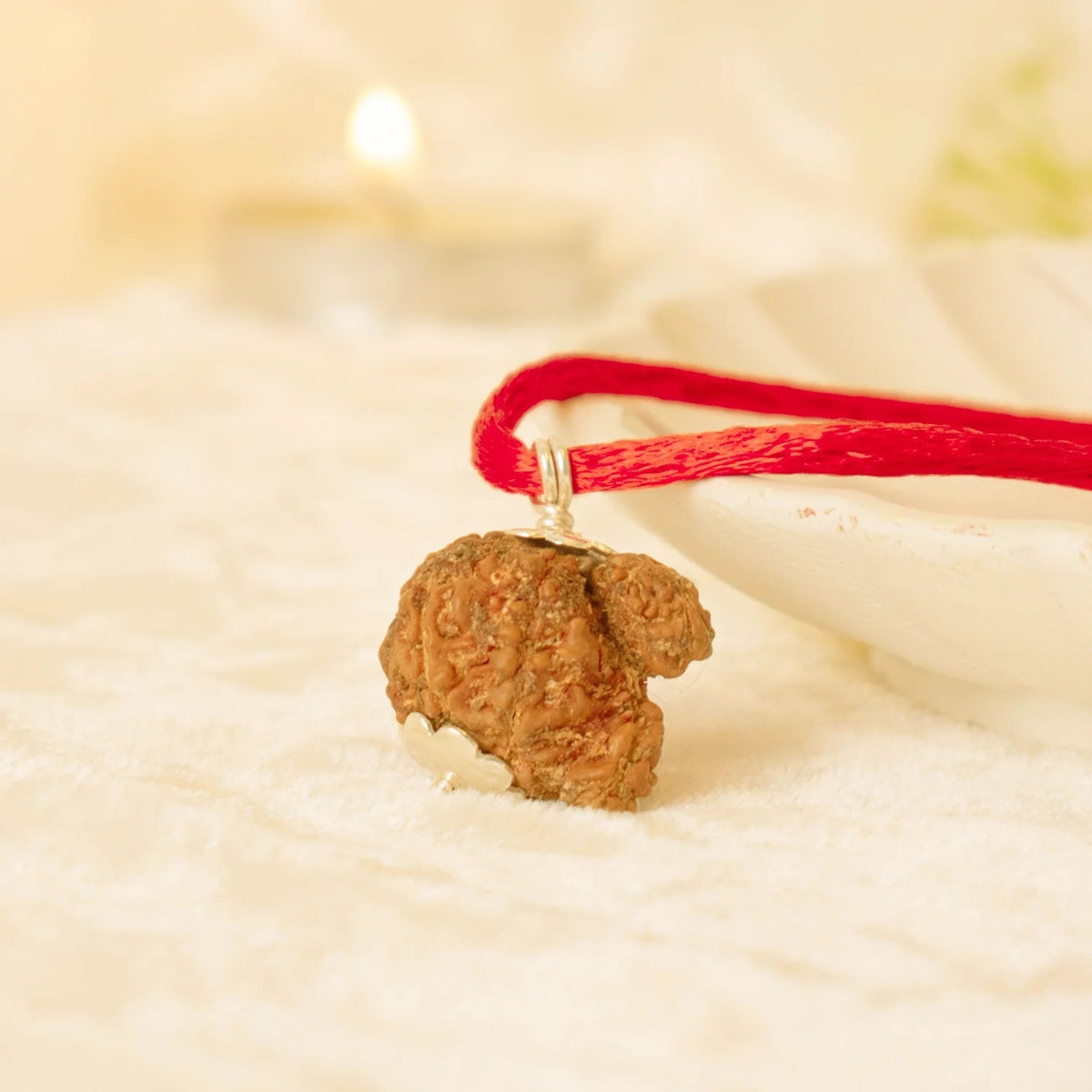 VASTUKOSHA Nepal origin Garbh Gauri Rudraksha pendant on a red thread, featuring a natural textured brown seed bead.