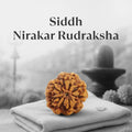 VASTUKOSHA Siddh Nepal origin 0 Mukhi Nirakar Rudraksha bead on a cloth with marigold flowers and Shiva Linga background